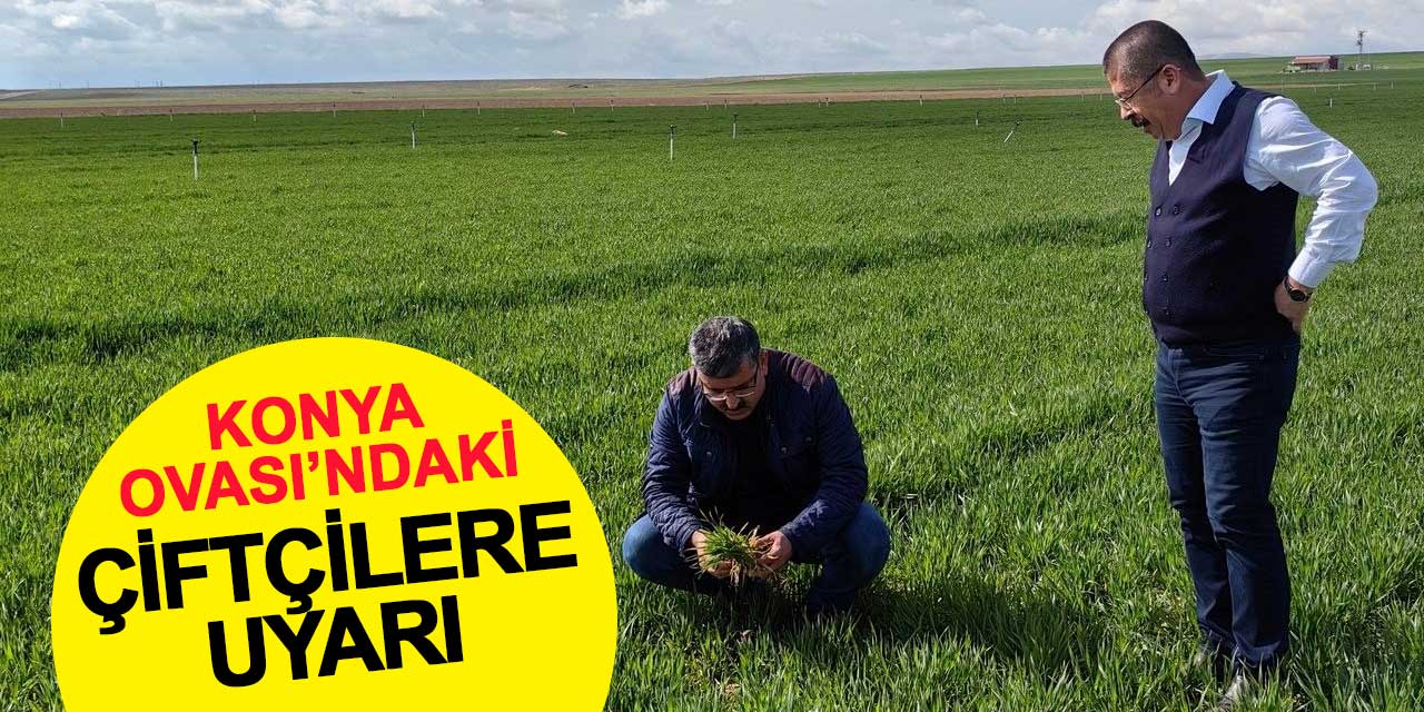 Konya Ovası'ndaki çiftçilere uyarı