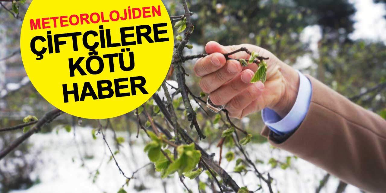 Meteorolojiden çiftçilere kötü haber: Don geliyor