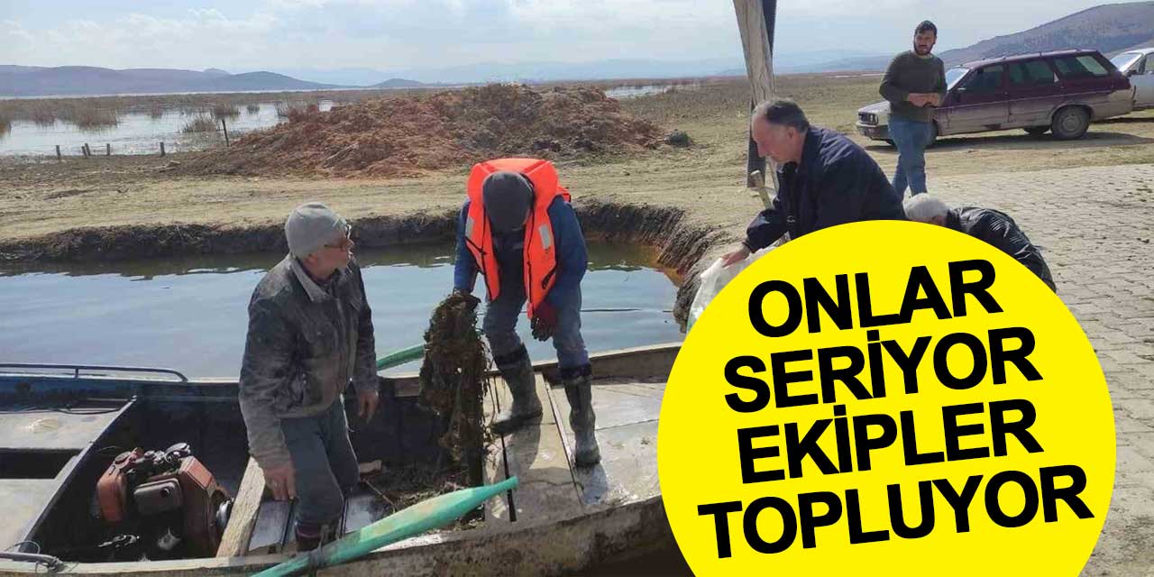 Beyşehir'de denetim: Onlar seriyor ekipler topluyor