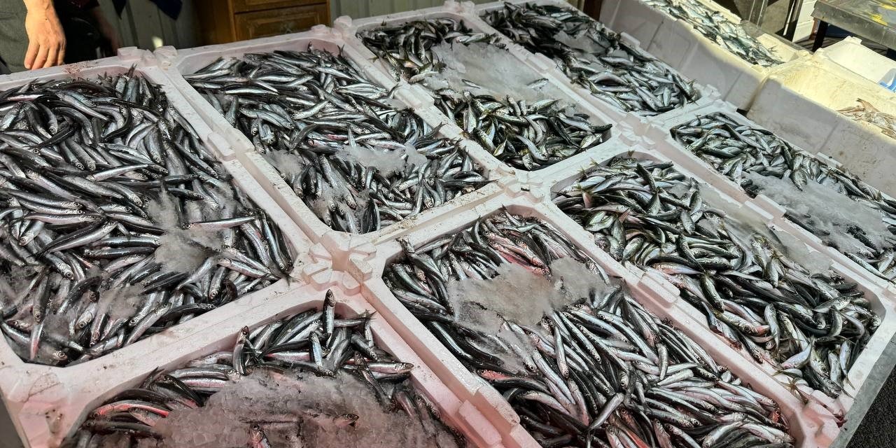 Balık tezgâhları son kez şenlendi