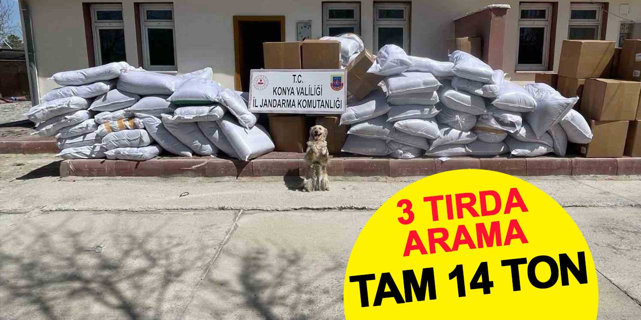 Durdurulan tırlarda 14 ton kaçak tütün ele geçirildi