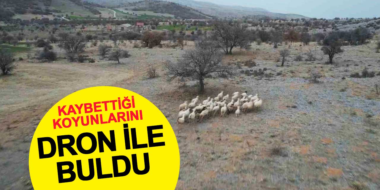 Dağlık arazide kaybolan koyunları dron ile buldular
