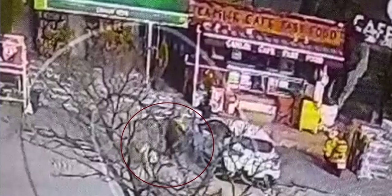 Yolda yürürken pitbull saldırdı: O anlar kamerada