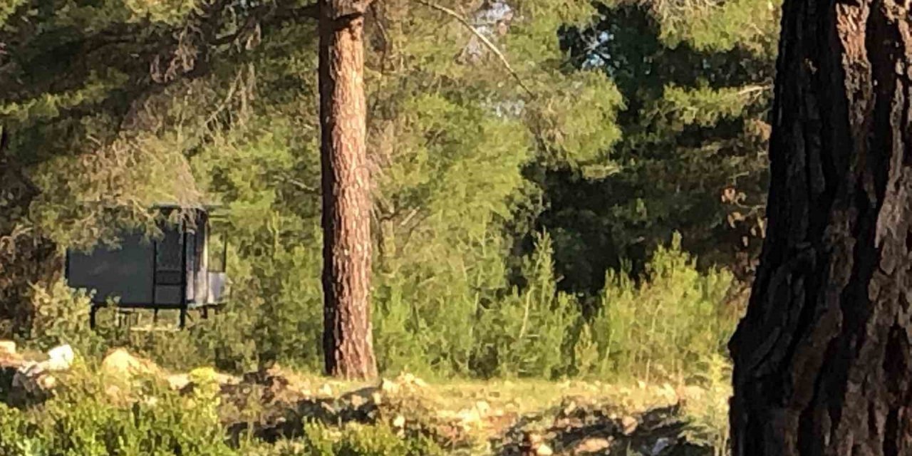 Boşanma aşamasındaki çift bağ evince canına kıydı