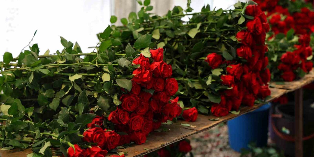 Dalında 3 lira, çiçekçide 40 lira