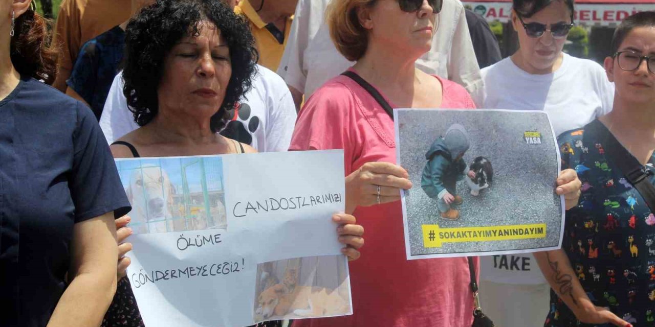 Alanyalı hayvanseverlerden sokak köpekleri düzenlemesine tepki