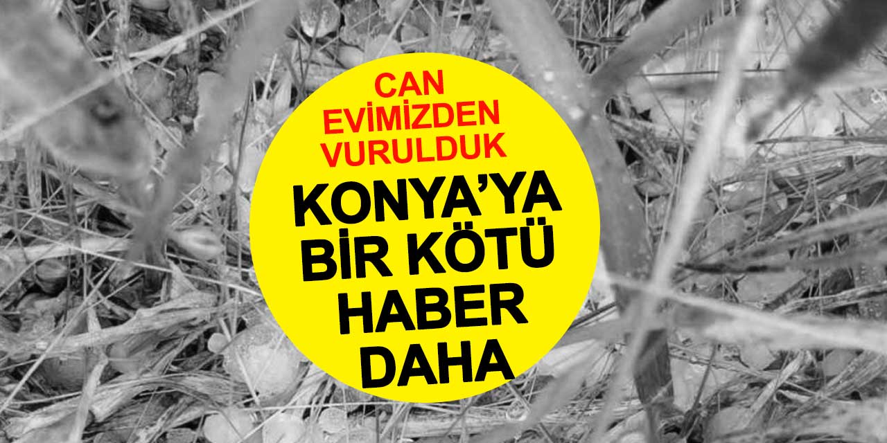 Konya'yı Kıtlık mı Bekliyor?