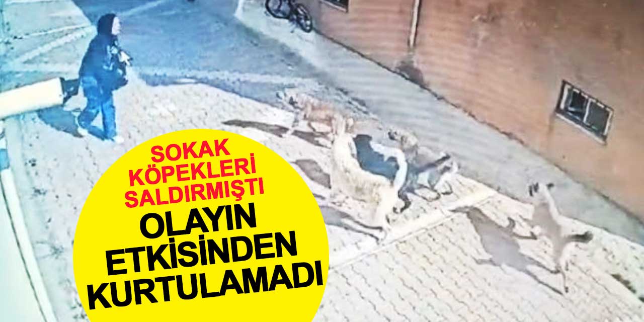 Sokak Köpeklerinin Saldırısına Uğrayan Liseli Nurbahar Olayın Etkisinden Kurtulamadı