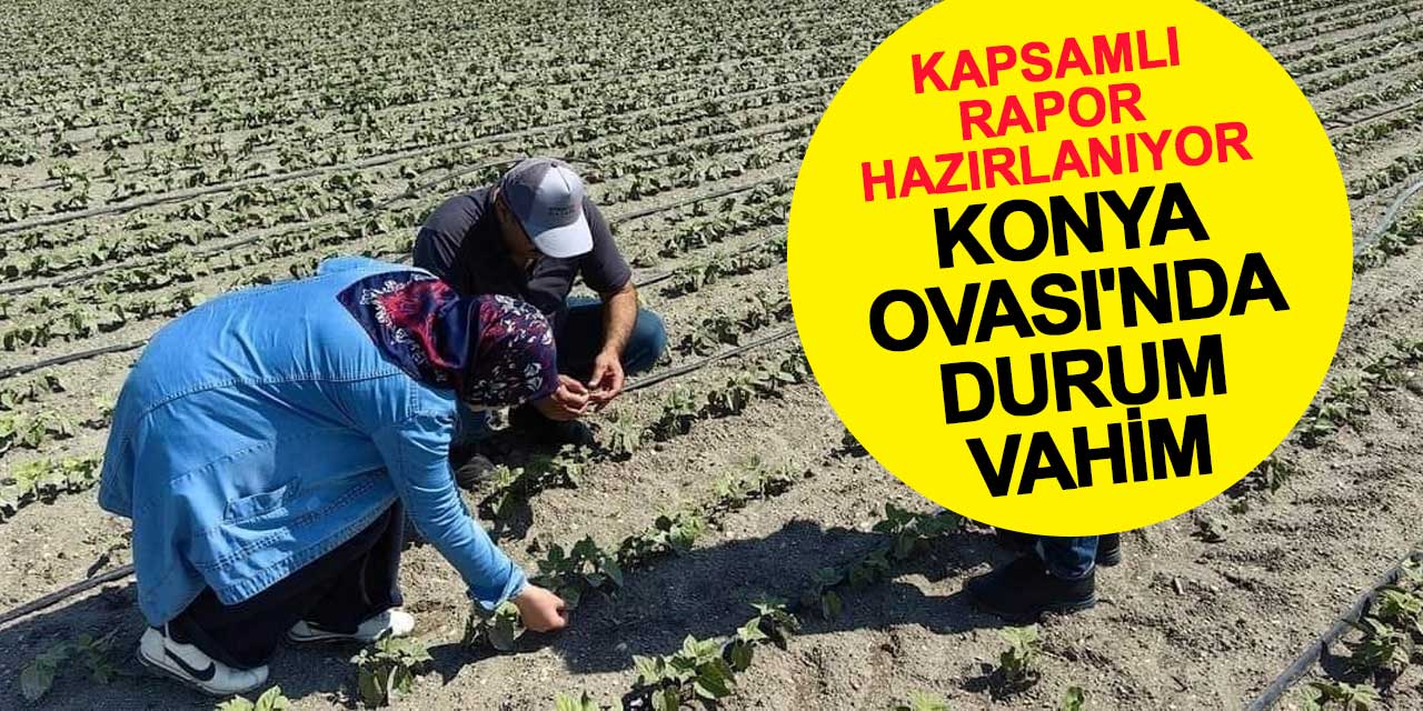Konya Ovası'nda durum vahim: Kapsamlı rapor hazırlanıyor