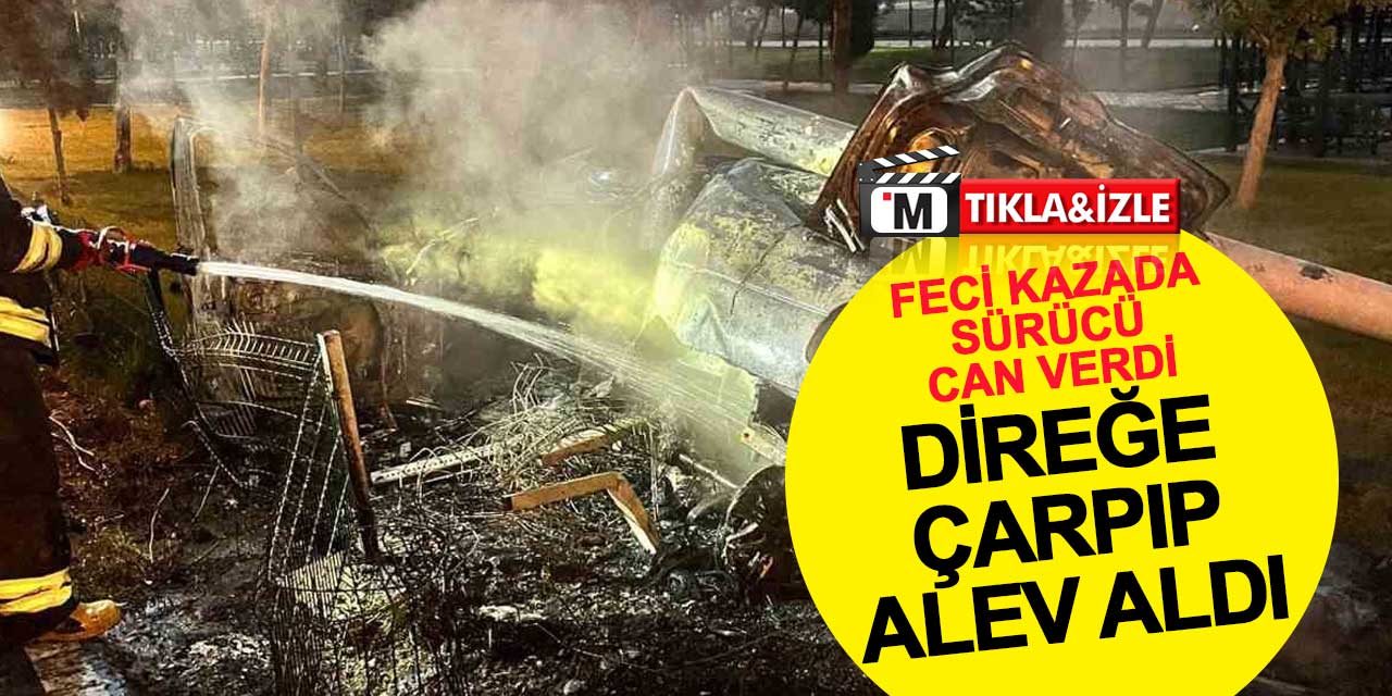 Direğe çarpıp alev aldı: Feci kazada sürücü can verdi