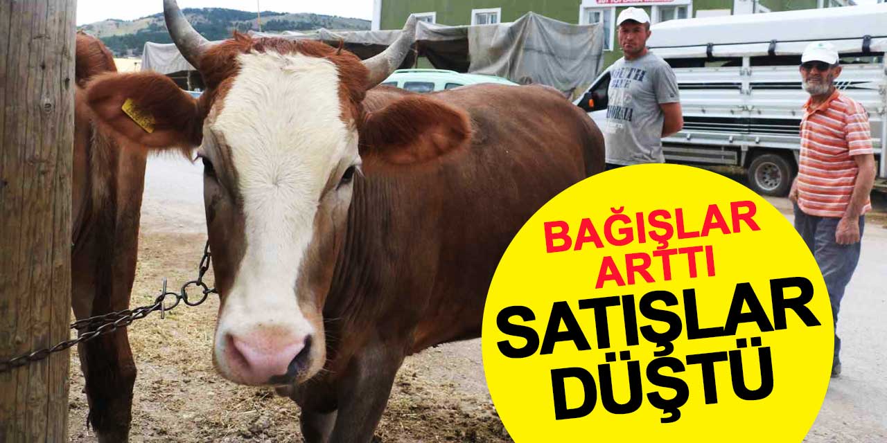 Kurban Bağışı Satışları Düşürdü