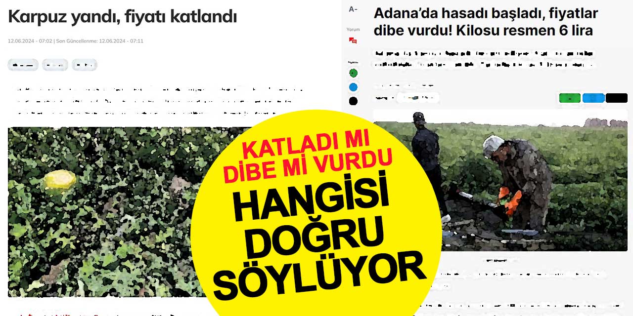 Hangisi doğru: Karpuz fiyatı dibe mi vurdu, ikiye mi katladı