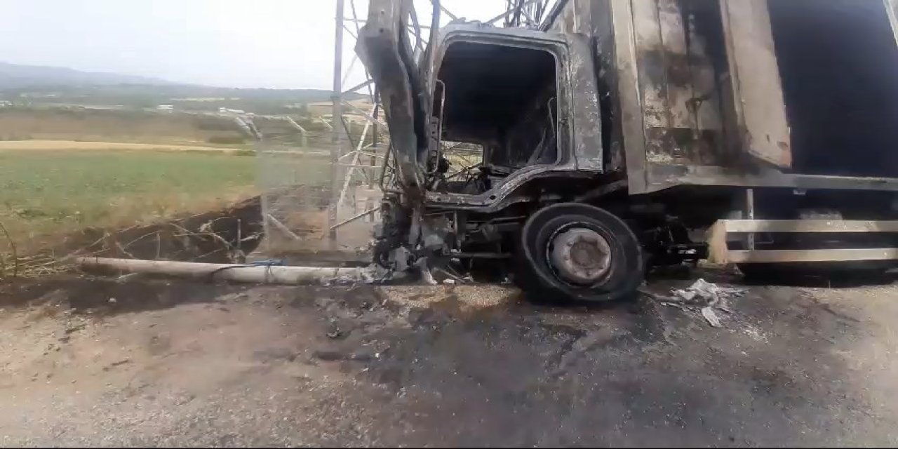 Arıyı kovalamaya çalışırken şarampole yuvarlandı
