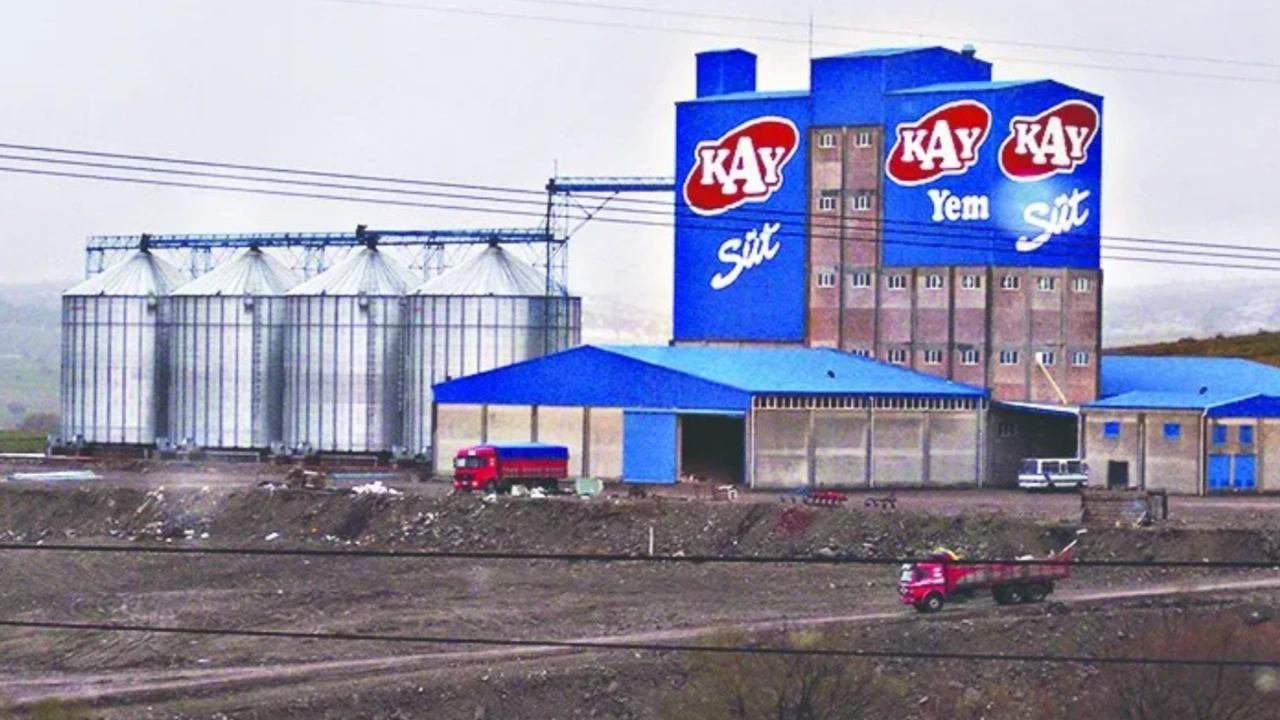 Kay Süt Fabrikası İcradan Satışa Çıktı!