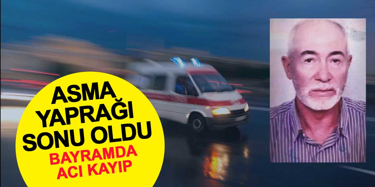 Bayramda acı kayıp: Asma yaprağı sonu oldu