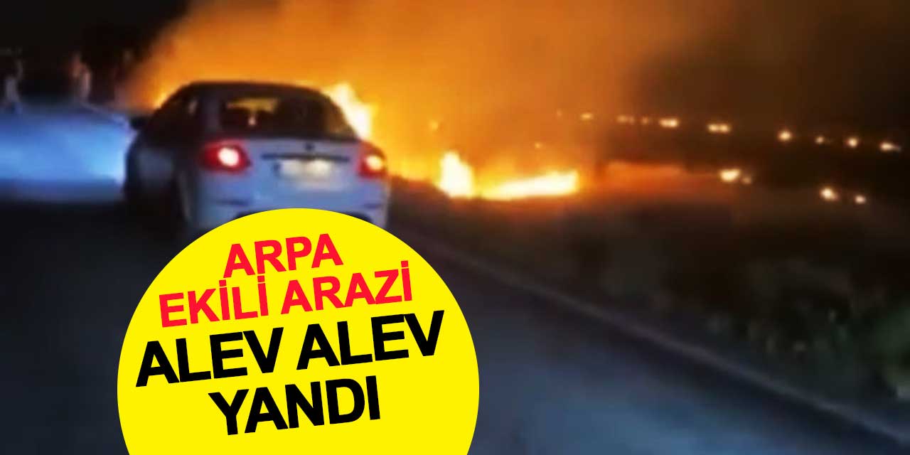 Ereğli'de Arpa Ekili Arazi Alev Alev Yandı