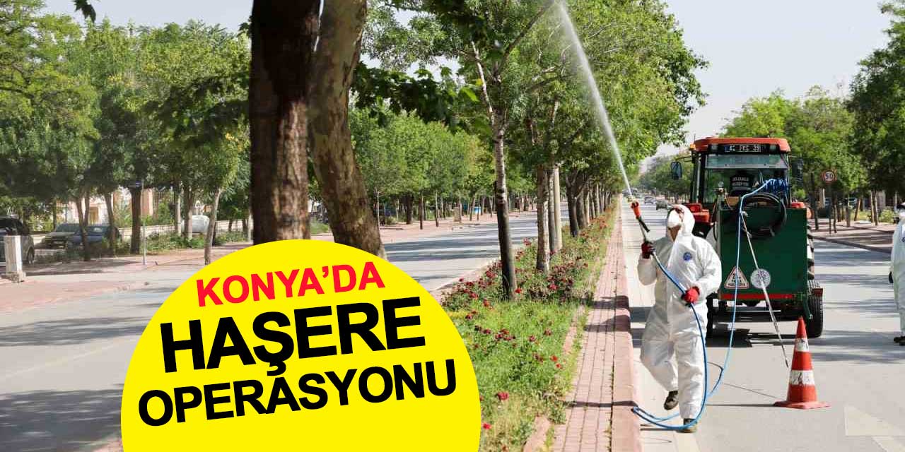 Selçuklu Belediyesi'nden haşere operasyonu