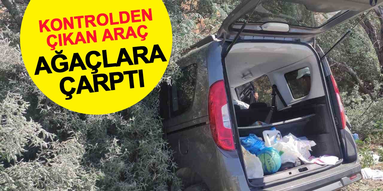 Kontrolden çıkan araç ağaçlara çarptı: 4 yaralı
