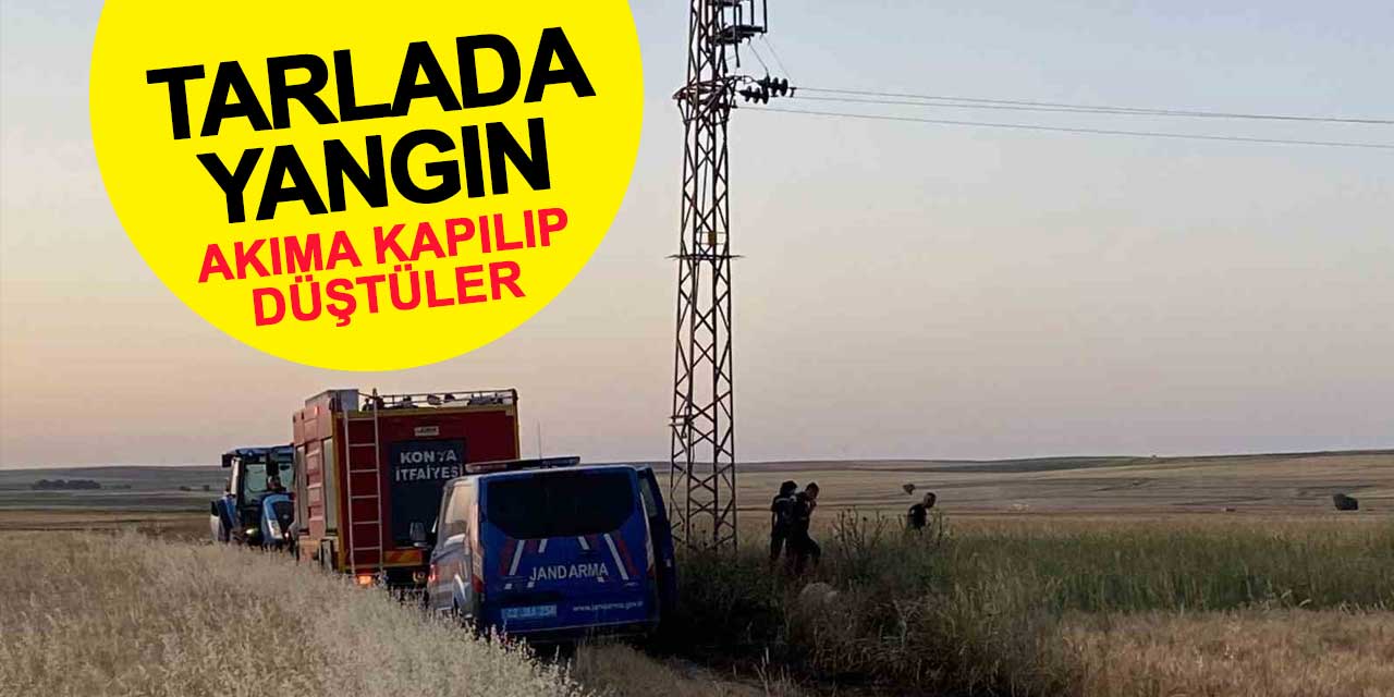 Yüksek Gerilim Hattına Kapılan Kuşlar Yangına Neden Oldu