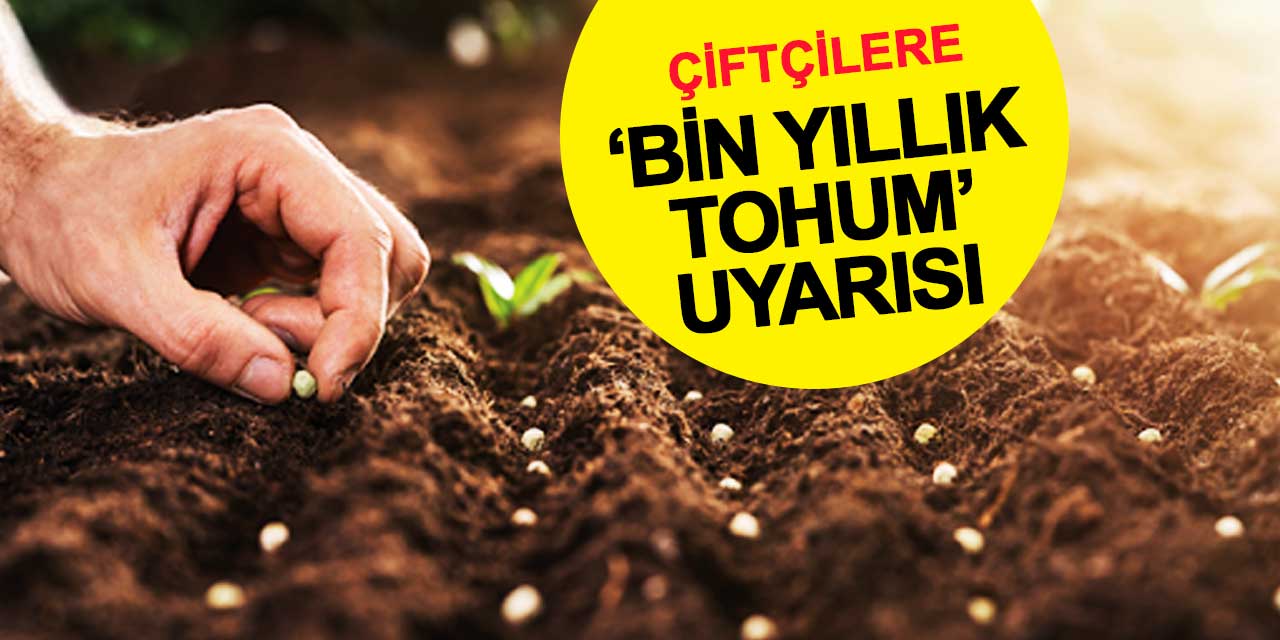 Çiftçilere ‘bin yıllık tohum’ uyarısı