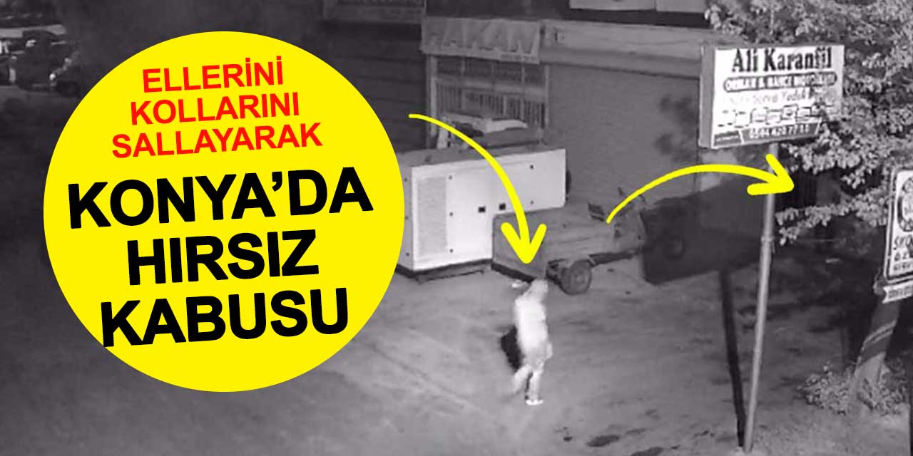 Köpeksiz köy bulmuşlar değneksiz geziyorlar! Konya'da hırsızların rahatlığı pes dedirtti