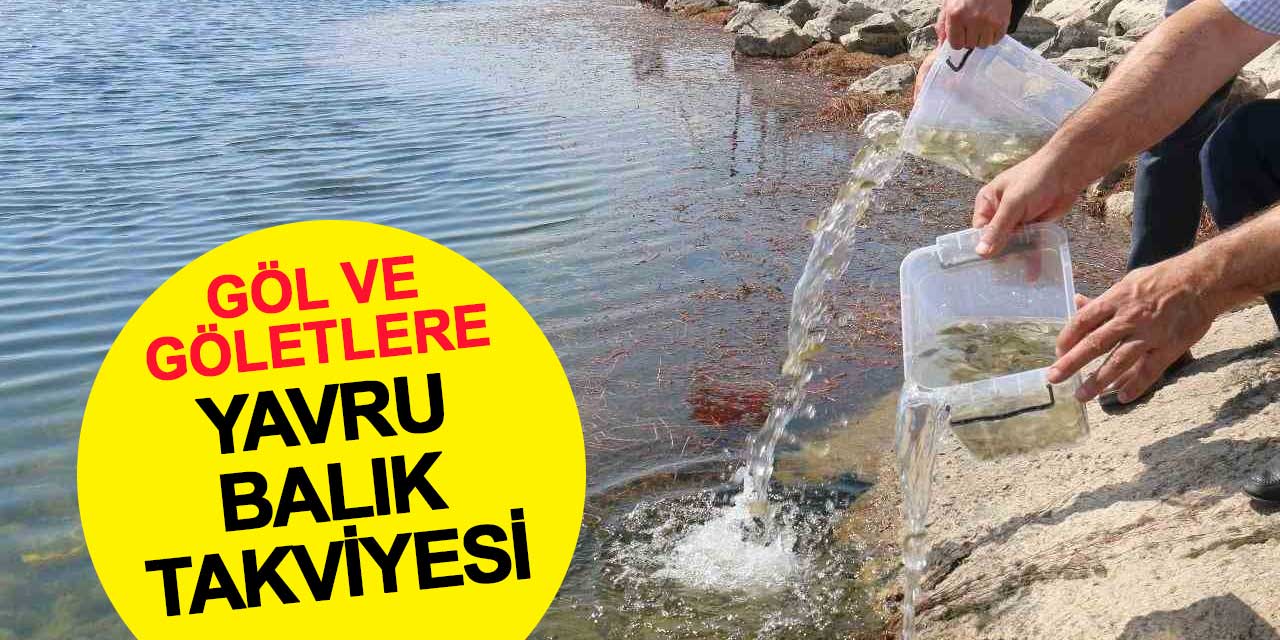 Beyşehir'in göl ve göletlerine balık takviyesi