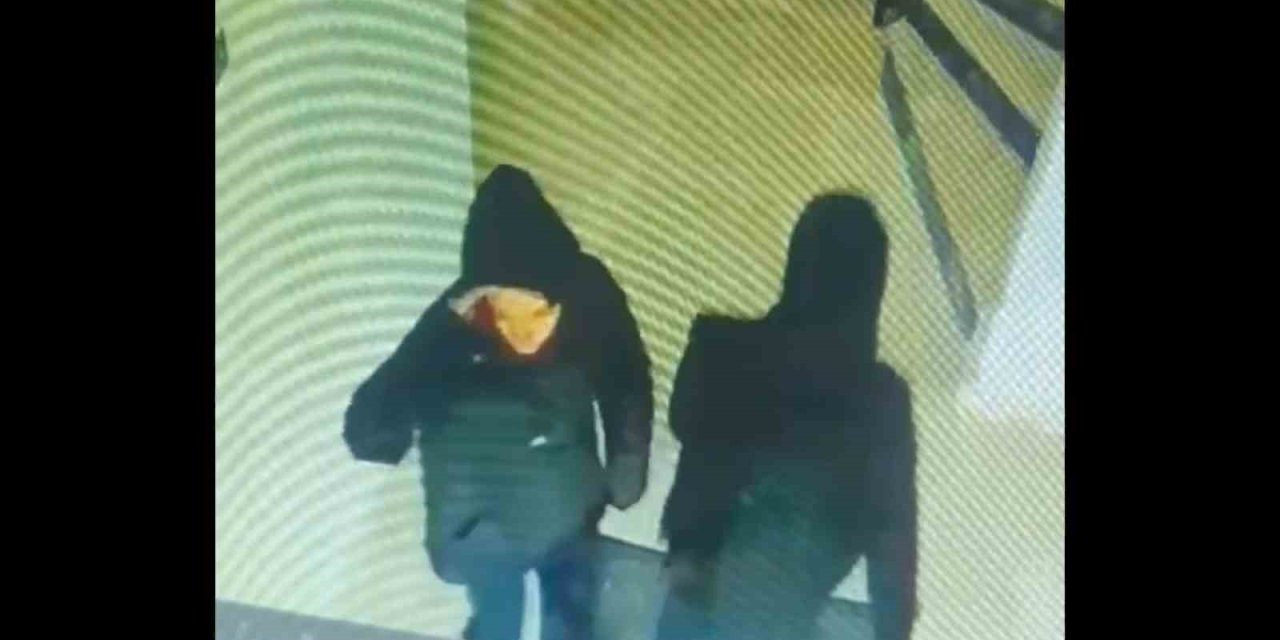 Hamile hırsız serbest bırakılınca mal sahibi isyan etti