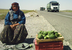 Yol kenarında satıyorlar