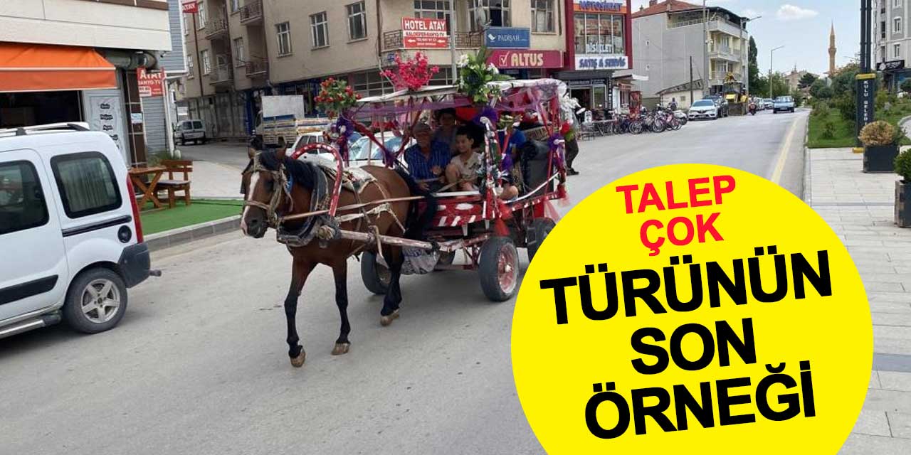 35 Yıldır Sünnet Çocuklarını, Gelin ve Damatları Gezdiriyor