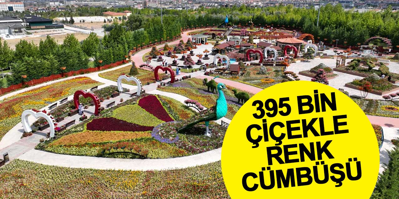 Selçuklu Çiçek Bahçesi: 395 Bin Çiçekle Renk Cümbüşü