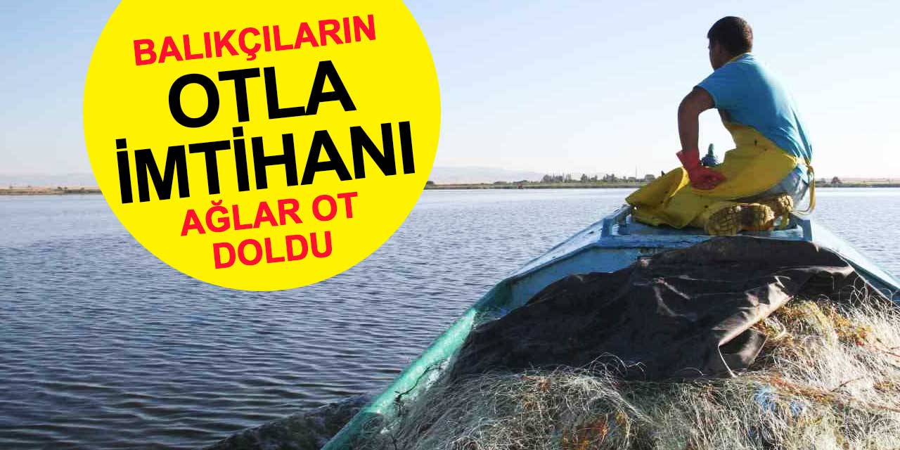 Beyşehirli balıkçıların ot mücadelesi