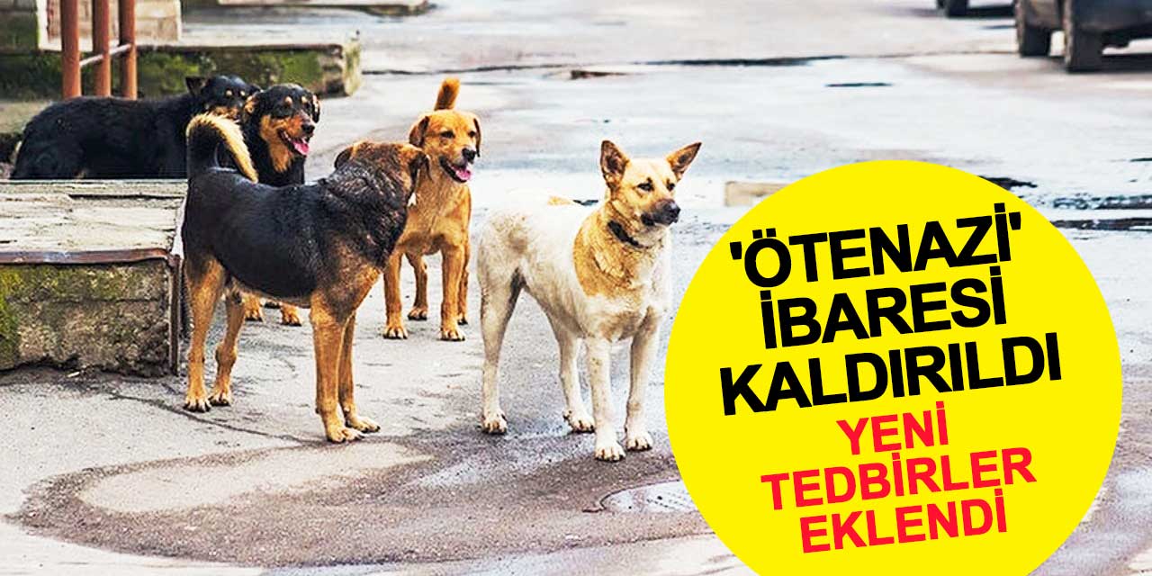 Sahipsiz Sokak Hayvanlarına Yönelik Kanun Teklifinde 'Ötenazi' İbaresi Kaldırıldı