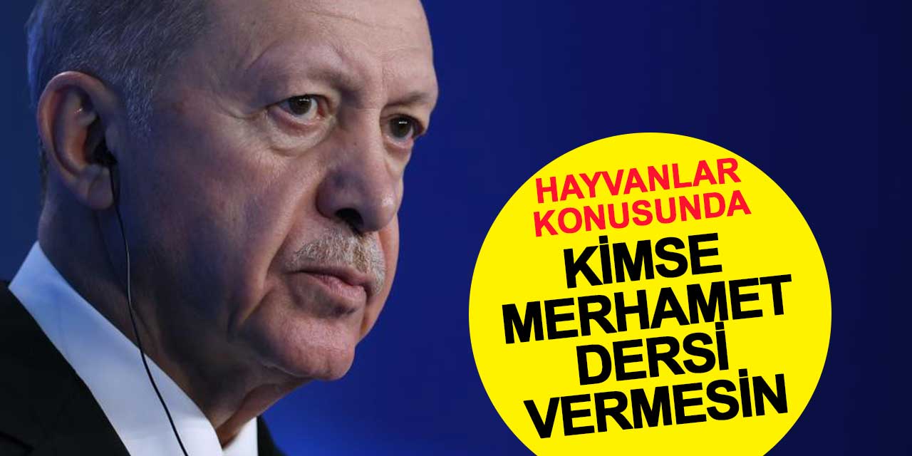 Cumhurbaşkanı Erdoğan: Kimse merhamet dersi vermeye kalkışmasın