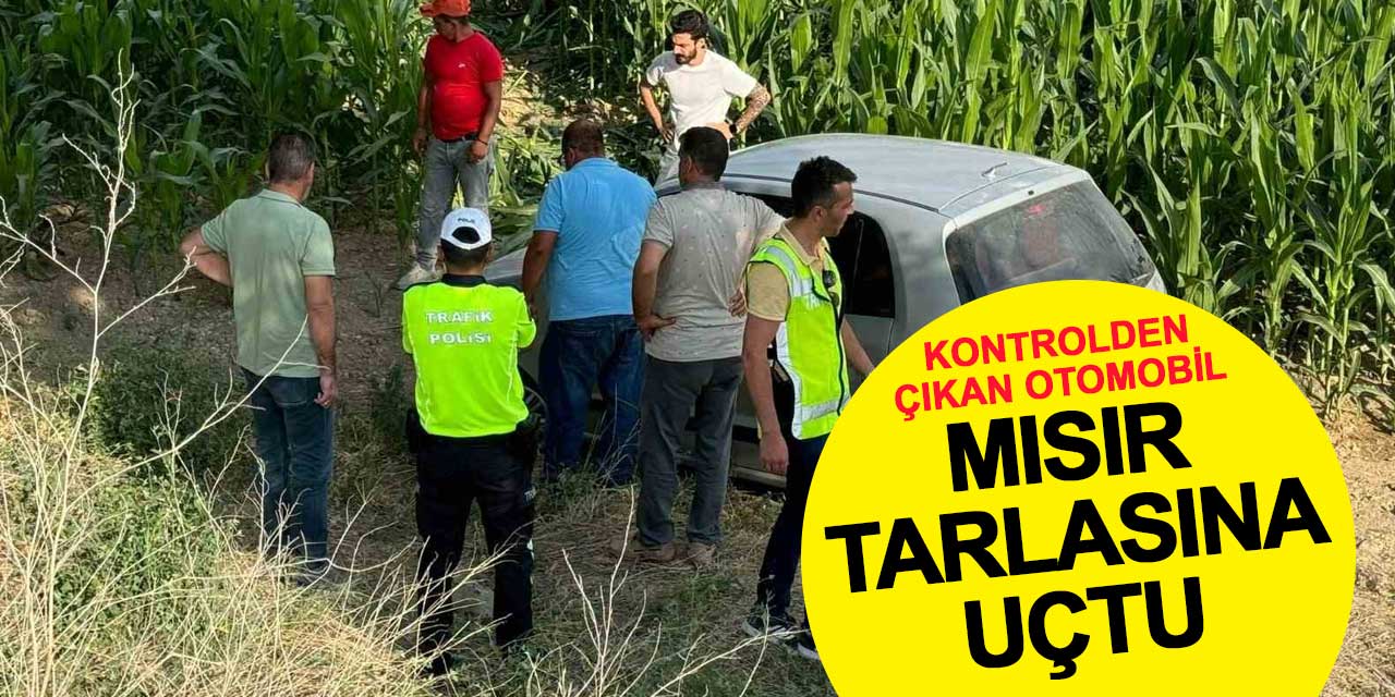 Ereğli'de Kontrolden Çıkan Otomobil Mısır Tarlasına Uçtu: 2 Yaralı