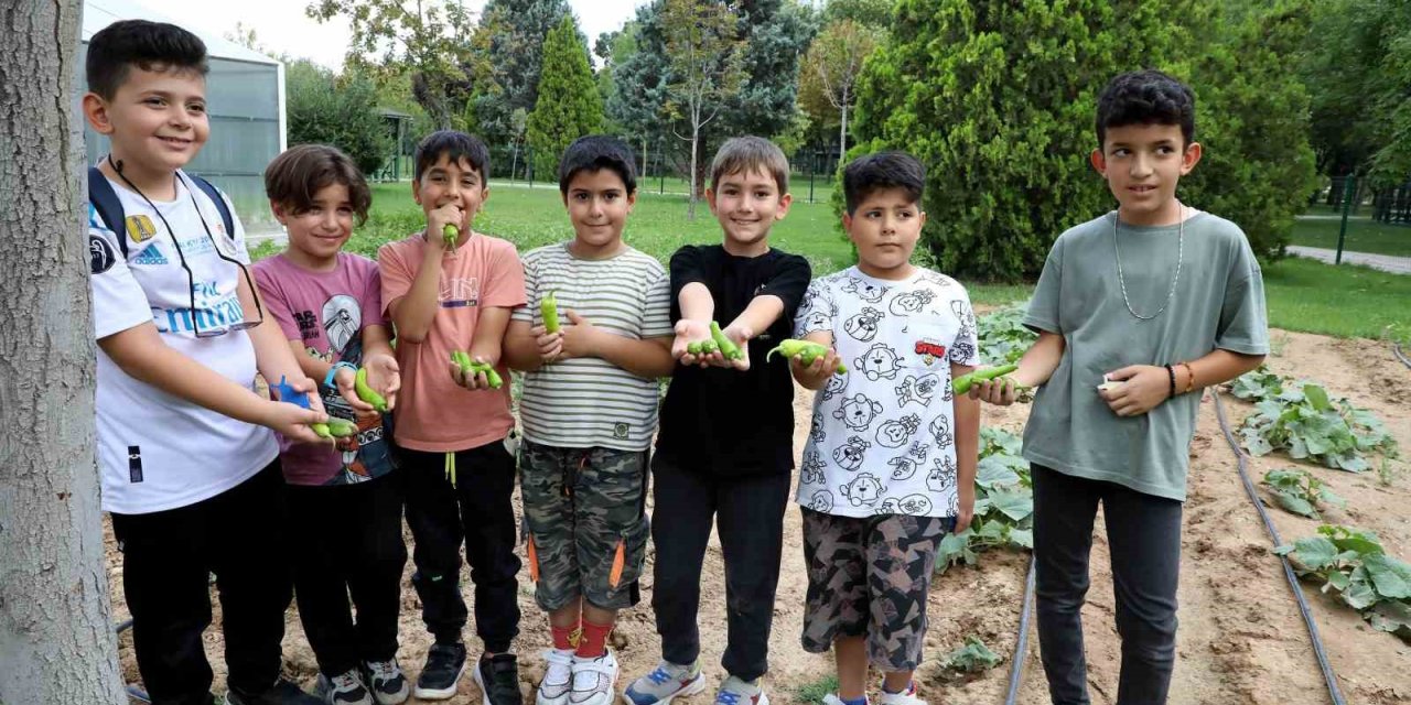 Karatay Tabiat Mektebi'nde Yaz Dönemi Eğitimleri Devam Ediyor