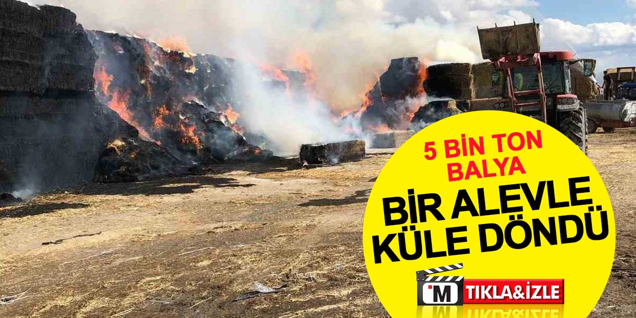 Çiftçilerden toplanan tonlarca balya bir alevle küle döndü
