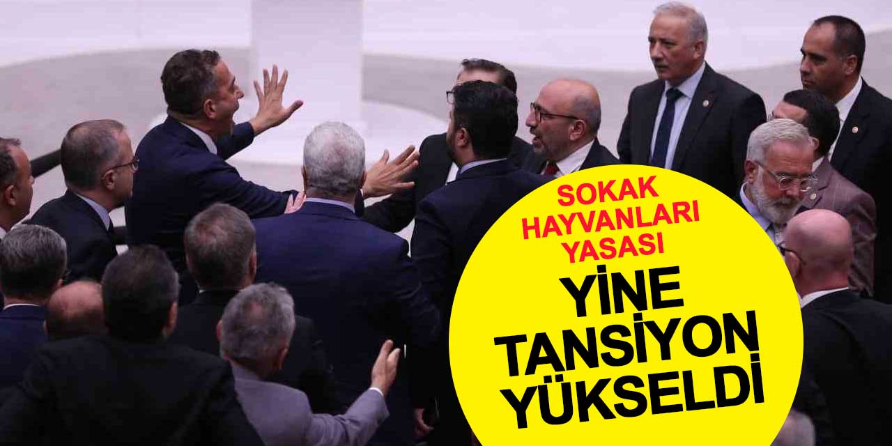 Sokak Hayvanları Yasasının görüşüldüğü TBMM Genel Kurulu’nda yine tansiyon yükseldi