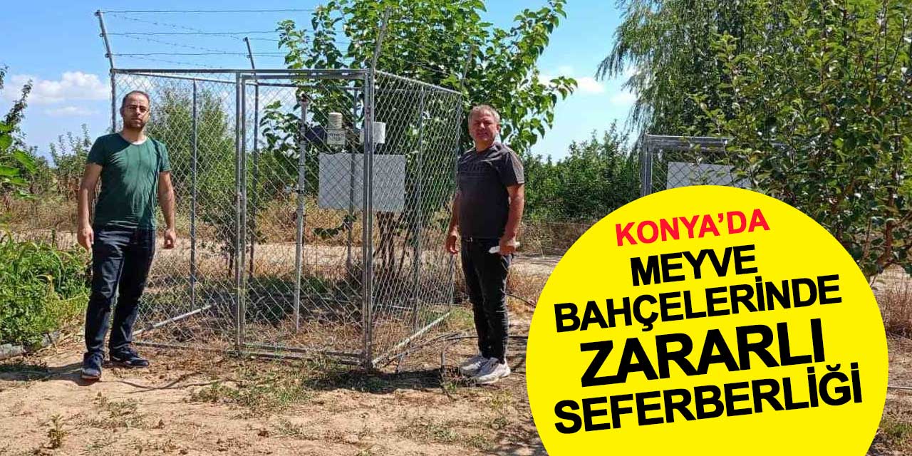 Konya'da meyve bahçelerinde seferberlik