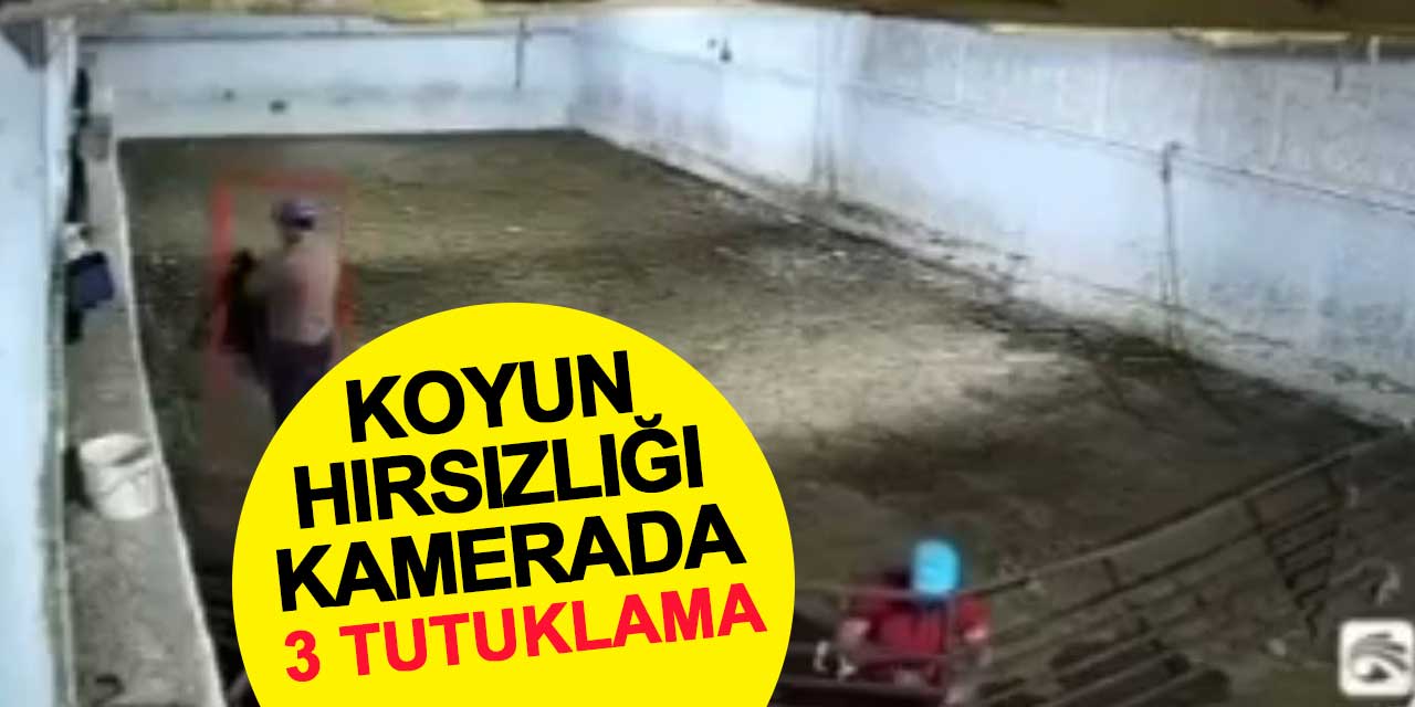 Konya’da Koyun Hırsızlığı Kamerada: 3 Kişi Tutuklandı