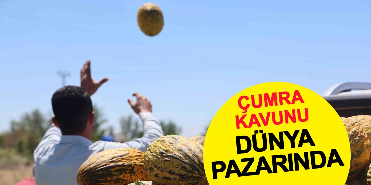 Coğrafi işaret tescilli Çumra kavunu dünya pazarında