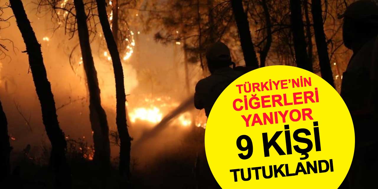 Orman Yangınlarıyla İlgili Gözaltına Alınan 22 Şüpheliden 9’u Tutuklandı