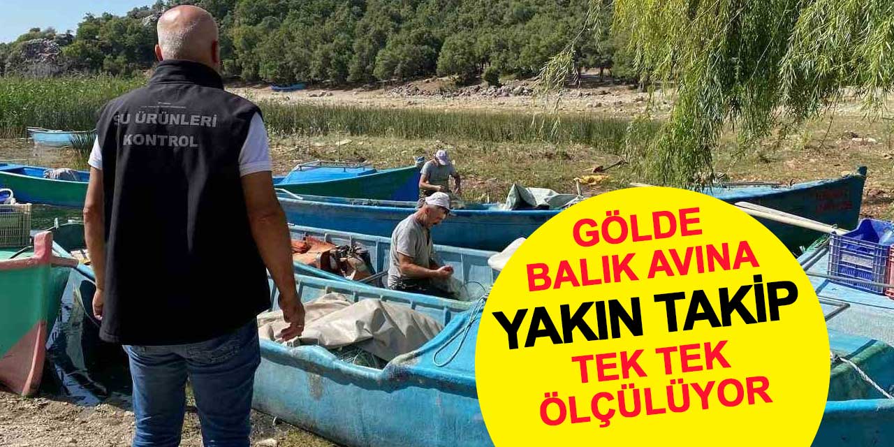 Beyşehir Gölü’nde balık avına yakın takip: Boyları tek tek ölçülüyor