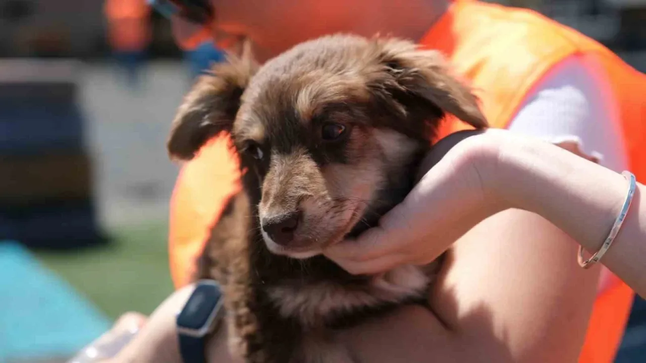 Hepsi Burada fırsatı kaçırmadı!