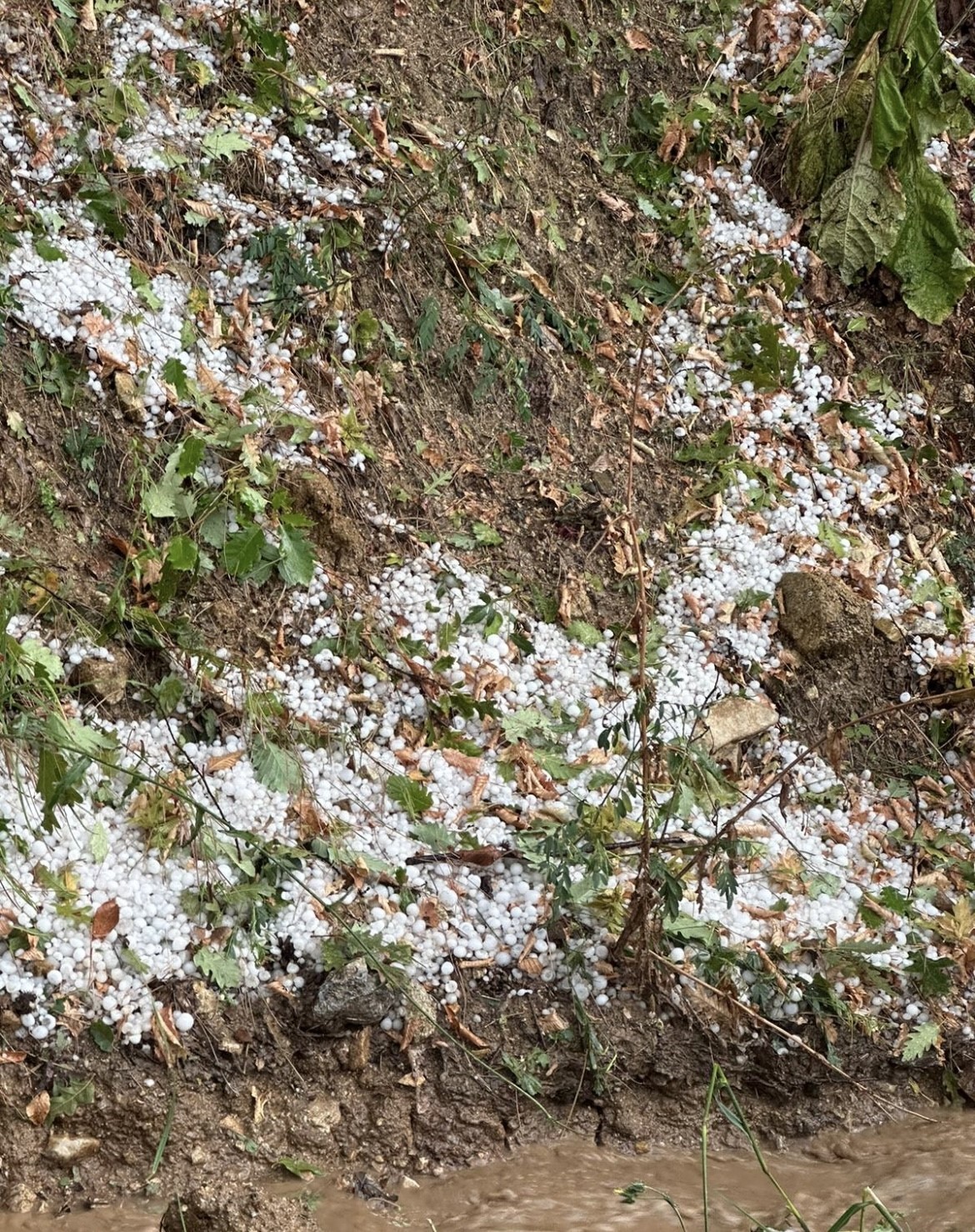 Bursa'ya ne oldu? Her yer bembeyaz