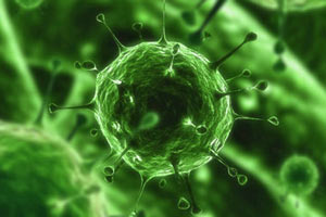 İstanbul'da 'Kızamık' vakaları