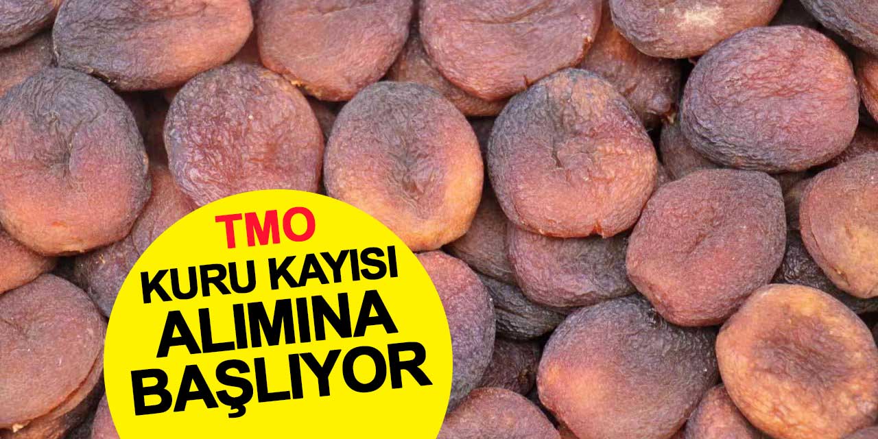 Toprak Mahsulleri Ofisi, Kuru Kayısı Alımına Başlıyor