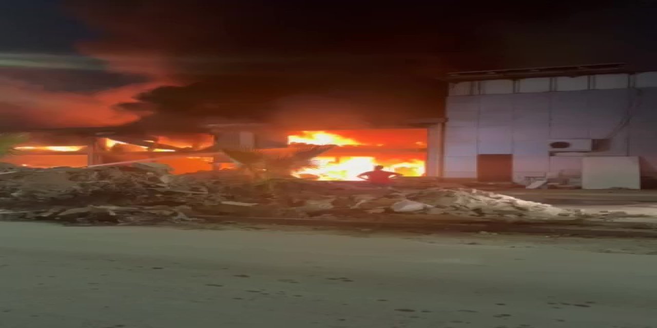 Binlerce kitap alev alev yandı