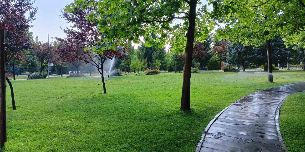 Parkta dinlenen yaşlı adama köpek saldırdı