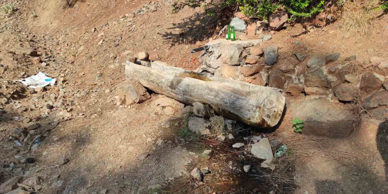 Fethiye’de ormanda terk edilmiş bebek bulundu