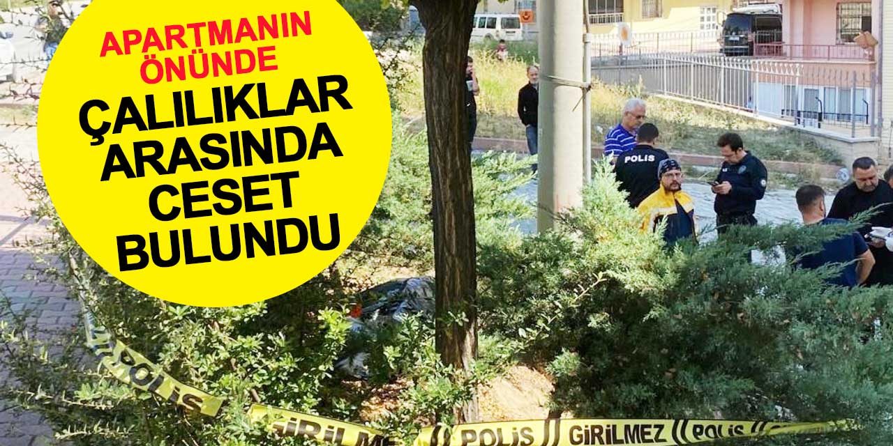 Apartmanın önünde çalılıklar arasında ceset bulundu
